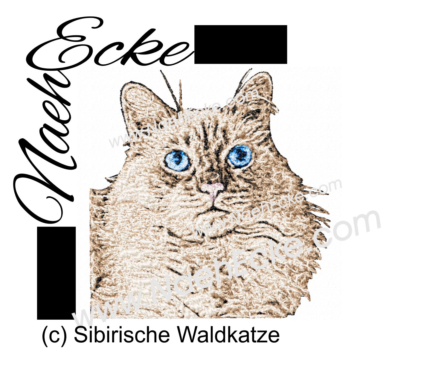 Sibirische Waldkatze 1