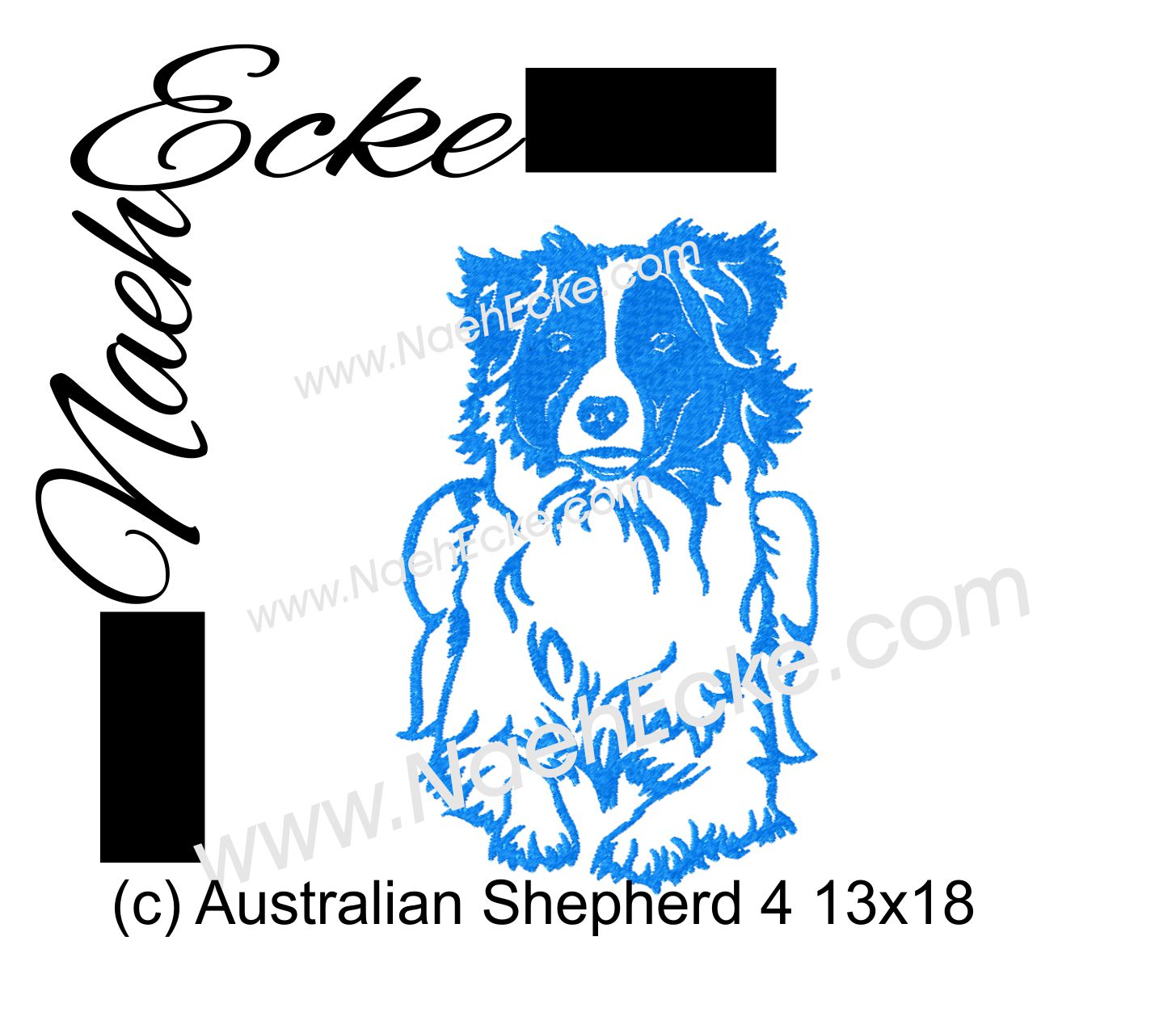 Australian Shepherd 04