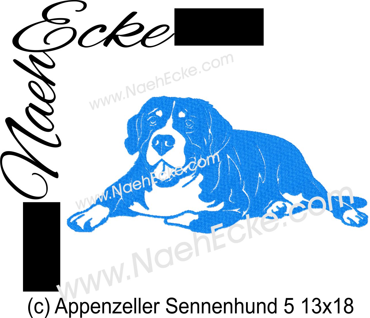 Appenzeller Sennenhund 5