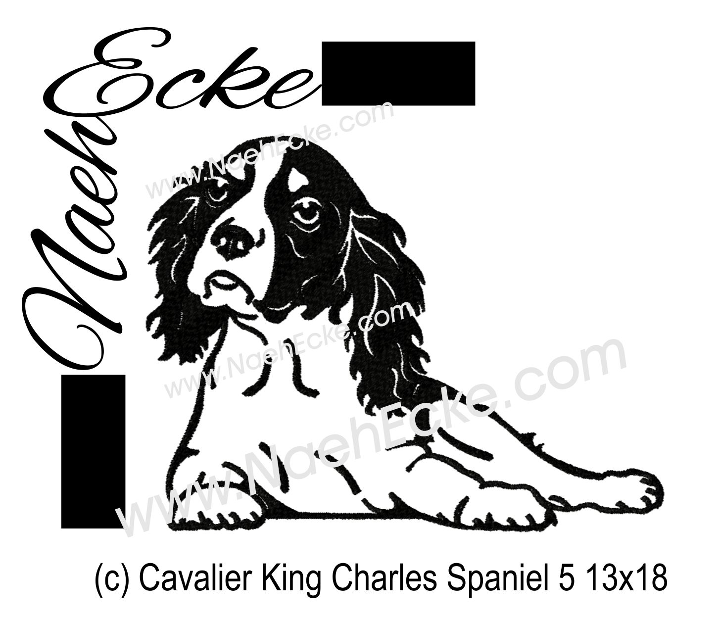 Cavalier King Charles Spaniel 5