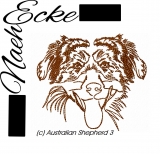 Australian Shepherd 03