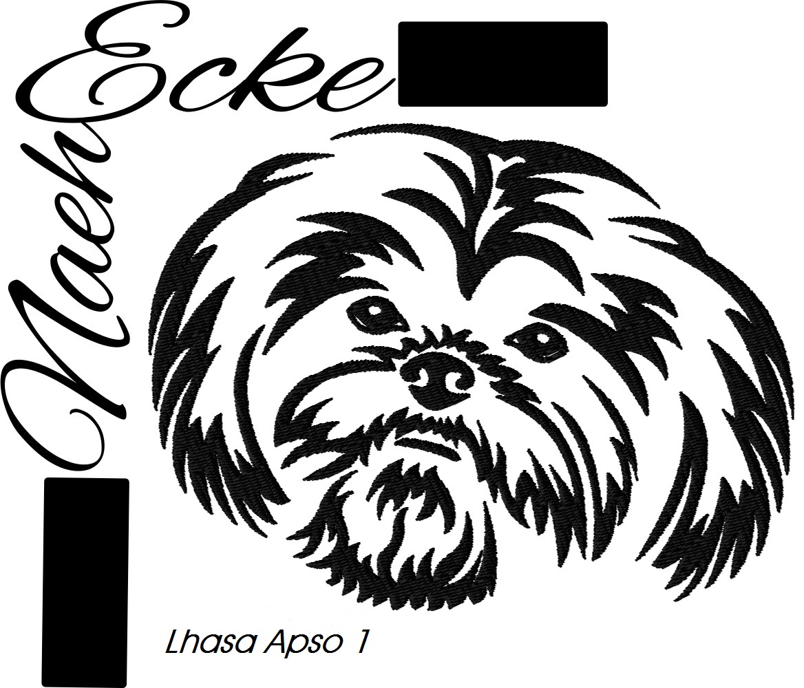 Lhasa Apso 1