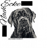 Cane Corso 4