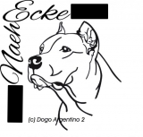 Dogo Argentino 2