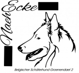 Belgischer Schäferhund Groenendael 2