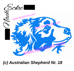 Australian Shepherd 18