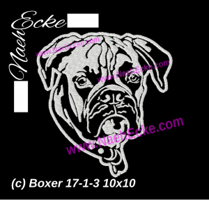 Boxer 17-1-3