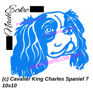 Cavalier King Charles Spaniel 7