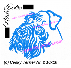 Cesky Terrier 2