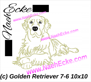 Golden Retriever 07-6 Doodle