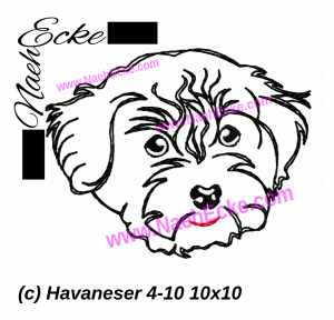 Havaneser 04-10