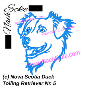 Nova Scotia Duck Tolling Retriever 5