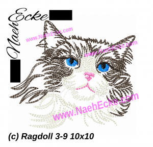 Ragdoll 3-9