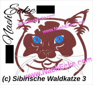 Sibirische Waldkatze 3