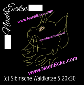 Sibirische Waldkatze 5