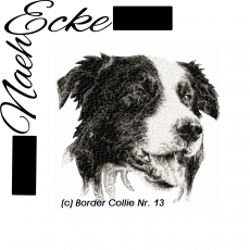 Stickdatei Border Collie Nr. 13 10x10 PHOTOstitch