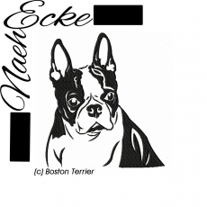 Stickdatei Boston Terrier 1 10x10