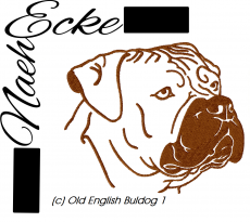 Stickdatei old English Bulldog Nr. 1 10x10 <br />