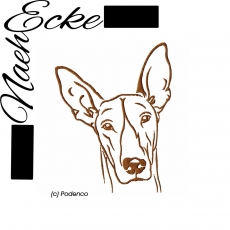 Stickdatei Podenco Canario Nr. 1 10x10 <br />