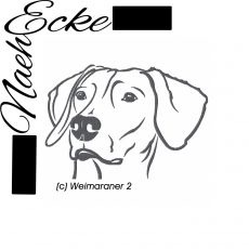 Stickdatei Weimaraner Nr. 2 13x18 <br />