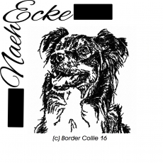 Stickdatei Border Collie 16 13x18