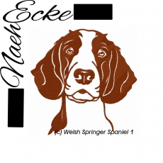 Stickdatei Welsh Springer Spaniel Nr. 1 13x18