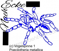 PLOTTERdatei Vogelspinne 1 Poecilotheria metallica SVG / EPS