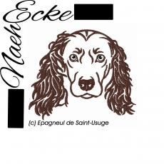 Stickdatei Epagneul de Saint-Usuge 10x10