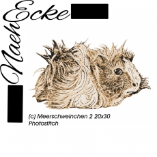 Stickdatei Meerschweinchen 2 20x28 Photostitch