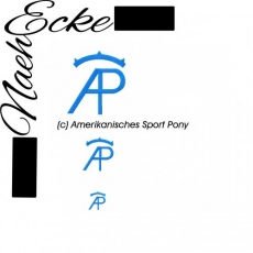 Stickdatei Brandzeichen Amerikanisches Sport Pony 10x10 <br />