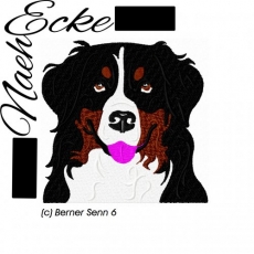 Stickdatei Berner Sennenhund Nr. 6 13x18