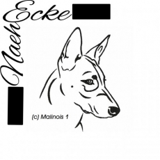 Stickdatei Malinois Nr. 1 20x30 <br />