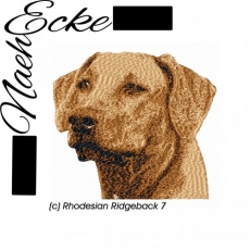 Stickdatei Rhodesian Ridgeback Nr. 7 13x18 <br />