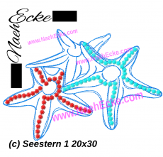 Stickdatei Seestern 1 20x30 / 20x28