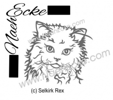 PLOTTERdatei Selkirk Rex 1 SVG /EPS <br />