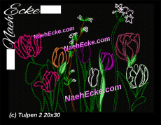 Stickdatei Tulpen 2 Doodel 20x30 / 20x28