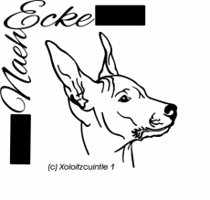 PLOTTERdatei Xoloitzcuintle 1 SVG / EPS <br />