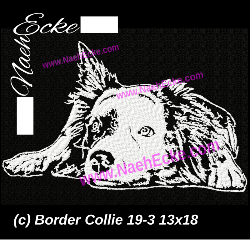 Embroidery Border Collie 19-3 5x7