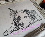 Stickdatei Border Collie 19-2 20x28