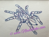 Stickdatei Vogelspinne 1-2 Poecilotheria metallica 10x10