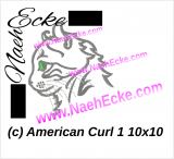 Stickdatei American Curl 1 10x10