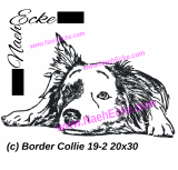 Embroidery Border Collie 19-2 11.81 x 7.87