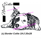 Embroidery Border Collie 19-2 11.02 x 7.87