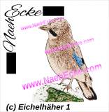 Stickdatei Eichelhäher 1 20x30 / 20x20 / 20x28 Photostitch