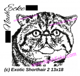 Stickdatei Exotic Shorthair 2 13x18