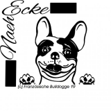 Datei Französische Bulldogge Nr. 19 SVG / EPS 