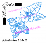 Stickdatei Hibiskus und Fragipani 3-6 10x10