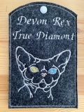 Stickdatei Devon Rex 2 10x10