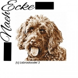 Stickdatei Labradoodle 3 13x18 PHOTOstitch