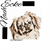 Stickdatei Pekinese 3 PHOTOstitch 13x18 